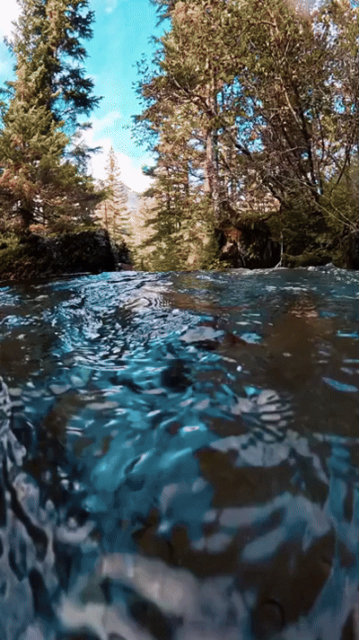 Mantavision™ App Controlled Rc Boat